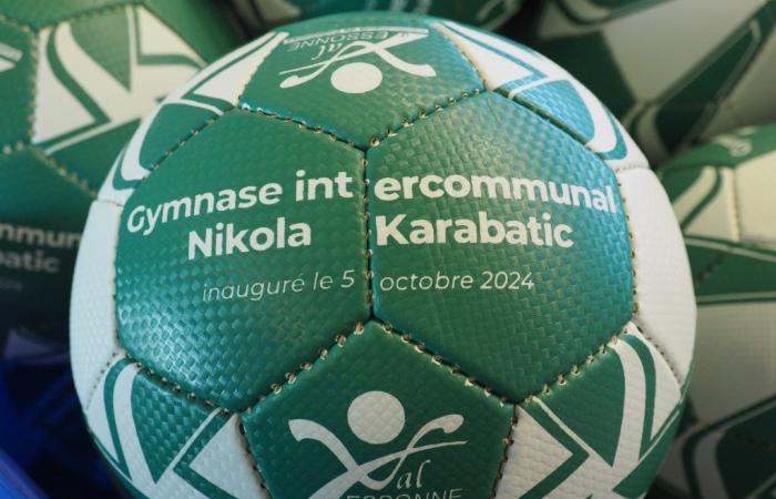 Essonne: el gimnasio Nikola Karabatik de Mennecy sorprende