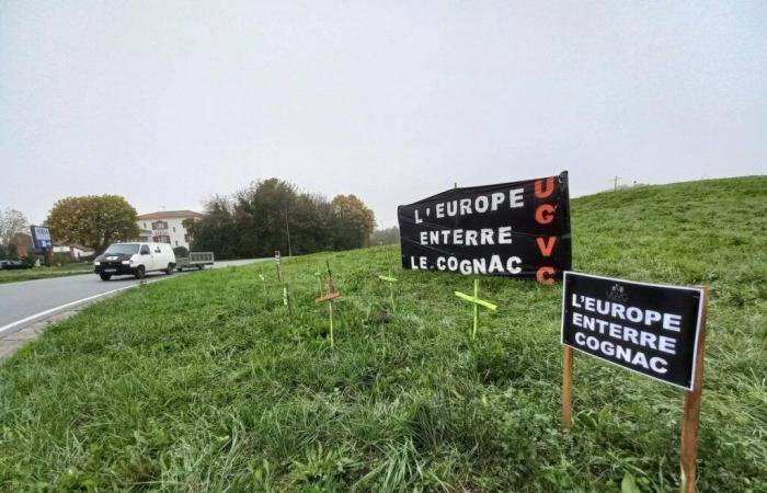 En Saintes, los viticultores muestran su enfado.