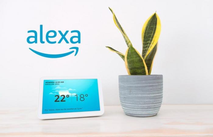 Entre esperanzas y retrasos, Amazon lucha por relanzar Alexa – Les Alexiens