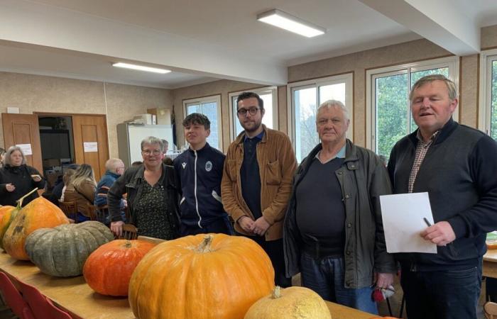 En este pueblo elegimos las calabazas más grandes y bonitas.