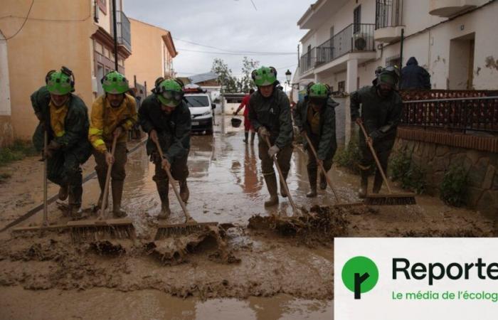 “Estamos pagando por 150 años de urbanización brutal”