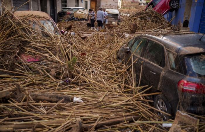 Inundaciones en España | Al menos 211 muertos y nuevos refuerzos militares enviados