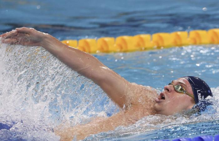 Tercer triplete en el Mundial de natación para el prodigio de Toulouse