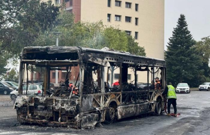 No hay autobuses en la zona hasta mediados de noviembre.