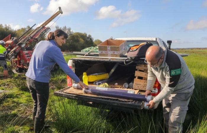 un estudio para sondear las profundidades de la marisma de Orx, un potencial sumidero de carbono