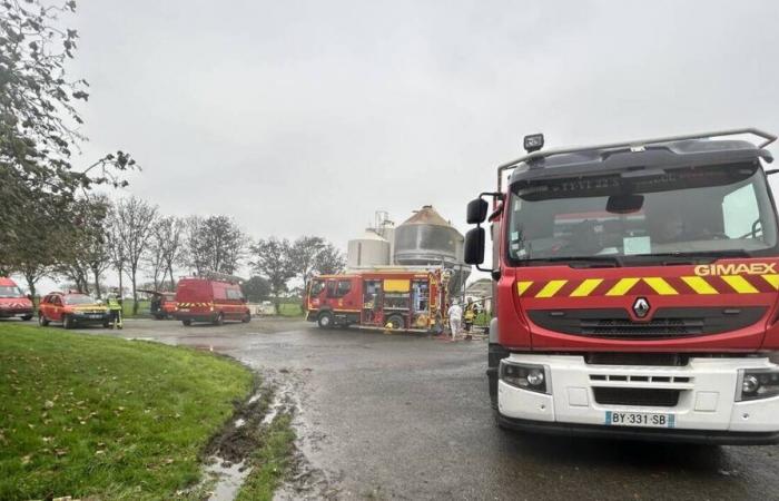 2.000 lechones y 90 cerdas muertas… Lo que sabemos sobre el incendio en una granja de Côtes-d’Armor