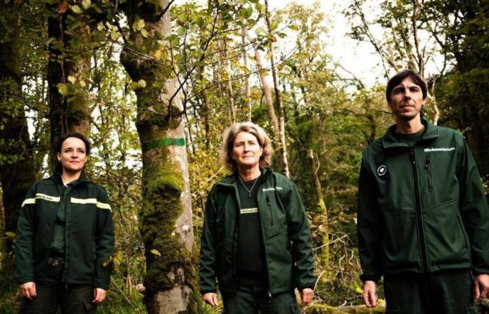 En su “pequeña joya verde” de Finistère, garantizan la “libre evolución” de la naturaleza