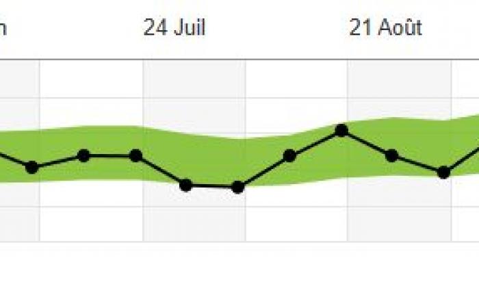 Utilicé la aplicación Decathlon durante cinco meses para correr media maratón