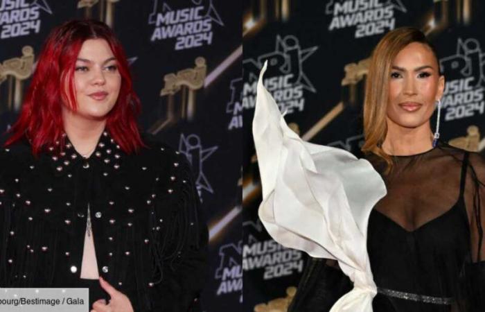 FOTOS – Louane, Slimane, Vitaa… Una mirada retrospectiva a los looks más bellos de la 26ª edición de los NRJ Music Awards