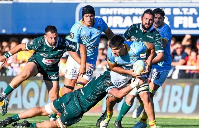 Top 14 – Las notas de Perpignan – Vannes: Oviedo con garra, Lafage impreciso