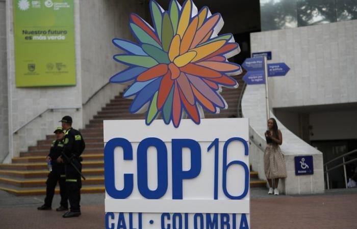 Se aclara en Cali el resultado de la COP16 sobre biodiversidad