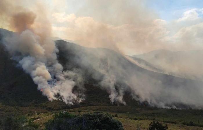 Se desencadenó el plan “incendios forestales” del ORSEC