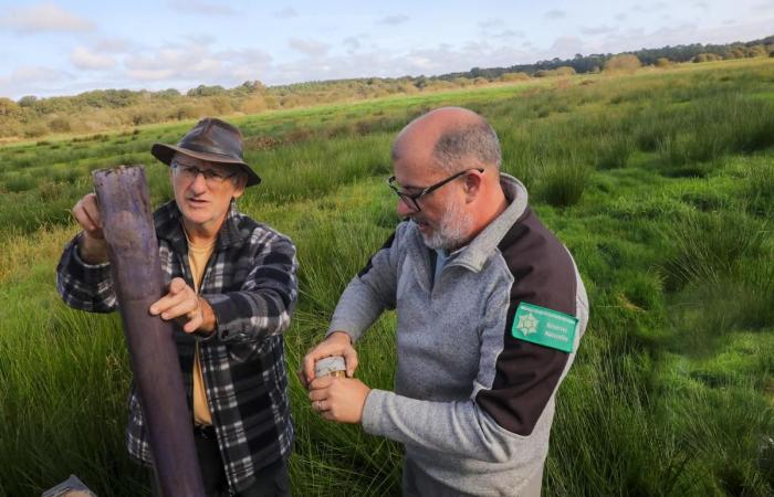 un estudio para sondear las profundidades de la marisma de Orx, un potencial sumidero de carbono