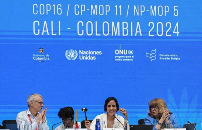 COP16 concluye acuerdo sobre recursos genéticos