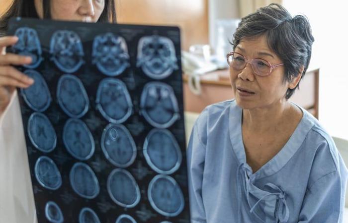 Comer esta fruta todos los días sería beneficioso para nuestro cerebro, según un estudio