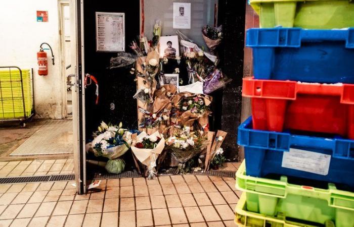 INFORMACIÓN LA DEPECHE. Muerte de Mathis en una sala de fundición del mercado Victor-Hugo: custodia policial, registros… la investigación avanza en Toulouse