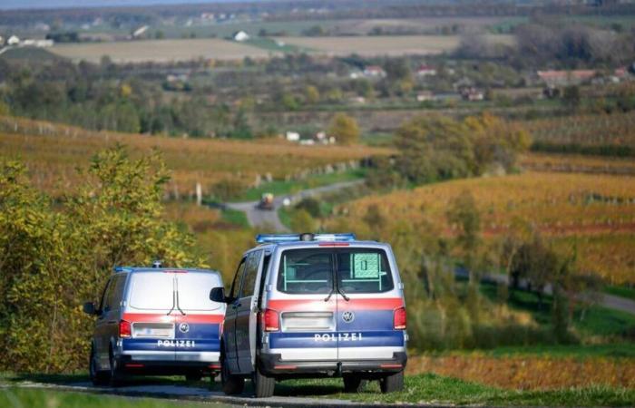 Hallan muerto a un hombre huido, sospechoso de dos asesinatos