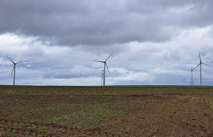 Bandeja picardo. Los proyectos de aerogeneradores se multiplican y las opiniones negativas