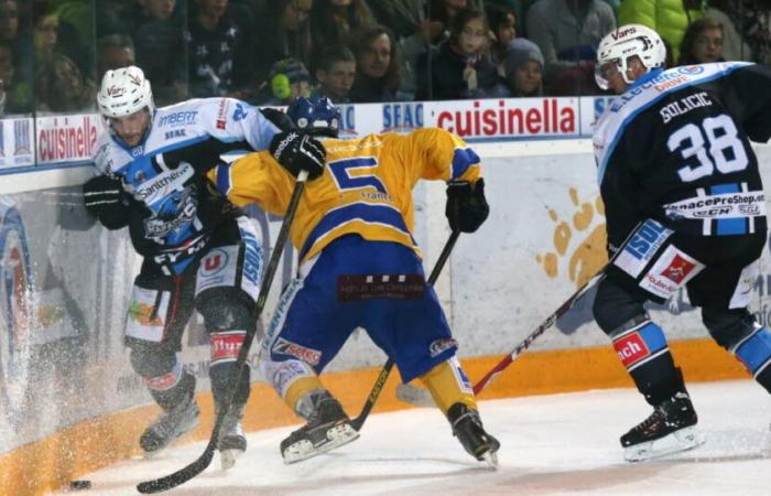 Hockey sobre hielo. Tras la gran preocupación, Tours da buenas noticias tranquilizadoras de Matthieu Frecon, ex jugador de Gap, Grenoble y Briançon