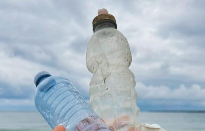 Presentarán jornada sobre contaminación plástica