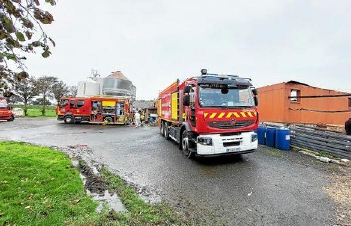 En Lamballe-Armor, 2.000 lechones y 90 cerdas mueren en un incendio en un criadero