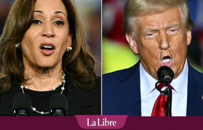 Elecciones estadounidenses entre Kamala Harris y Donald Trump: un candidato a la cabeza en las encuestas finales