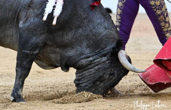 Suroeste: tiempo lluvioso en 2024, ¿tiempo feliz?