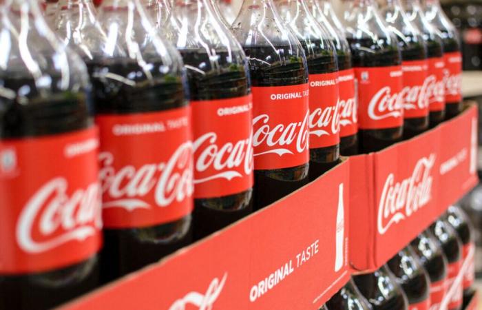 Trabajo. Coca Cola, Cémoi… ¡Estas grandes empresas contratan en el Norte!