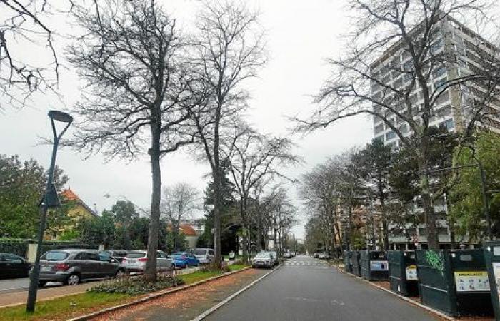 “Se necesitan medidas de fondo”: tras la visita del ministro a Maurepas, la resignación reina entre los vecinos