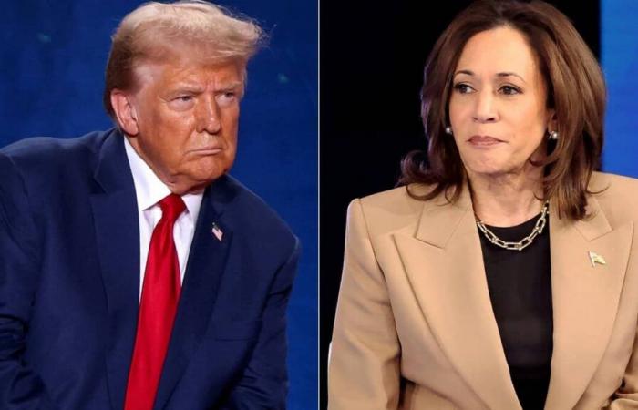 Harris o Trump, se decidirá un votante a la vez