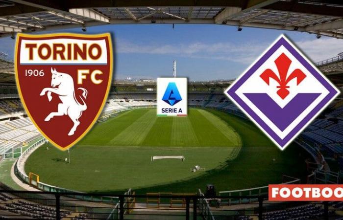 Torino vs Fiorentina: presentación del partido y predicciones