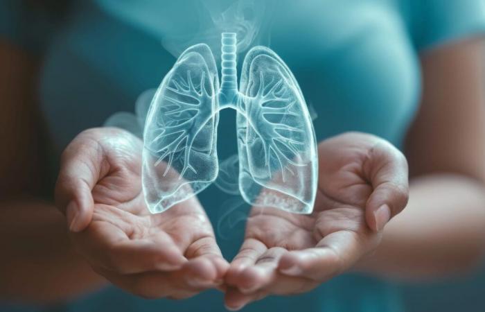 ¿Los pulmones se regeneran cuando se deja de fumar?