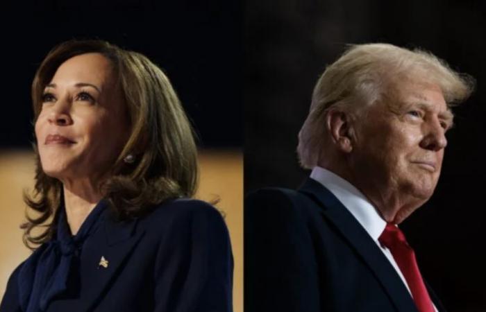 Encuesta: Harris por delante de Trump en… Iowa