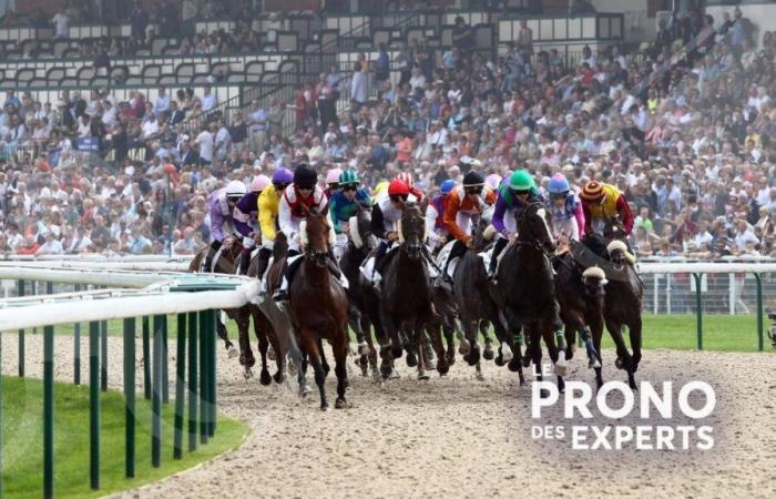 Predicciones de expertos para el encuentro 1 en DEAUVILLE este domingo 3 de noviembre