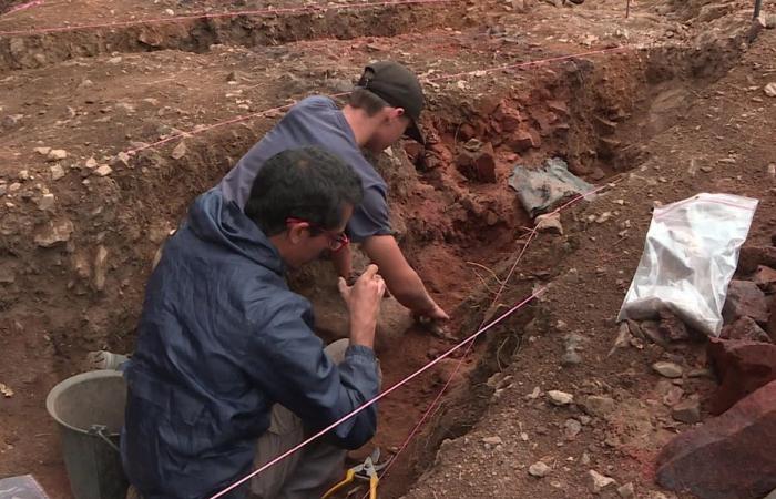 Arqueólogos, estudiantes y voluntarios descubren un fuerte medieval.