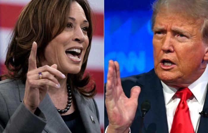 Tecnología, industria, energía… ¿Quién apoya a Kamala Harris, quién apoya a Donald Trump?