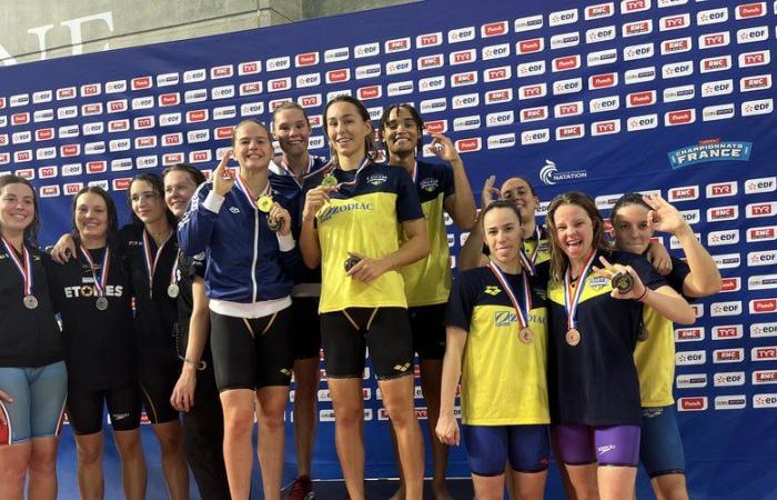 Natación – Campeonato de Francia en piscina corta: siete medallas, dos clasificaciones para el Mundial… El bonito día de Canet 66