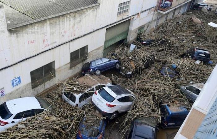 En los ojos de Ivanoh: Valencia, maleta roja y boca de incendios