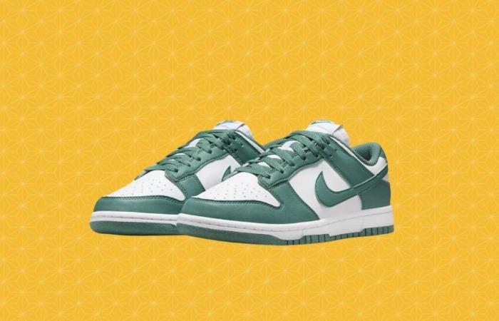 ¿Qué son las zapatillas Dunk Low a precio de derribo?