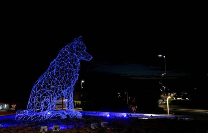 Después de su lobo gigante, el bourbonés Thomas Monin sigue planteando interrogantes sobre el destino de los lobos