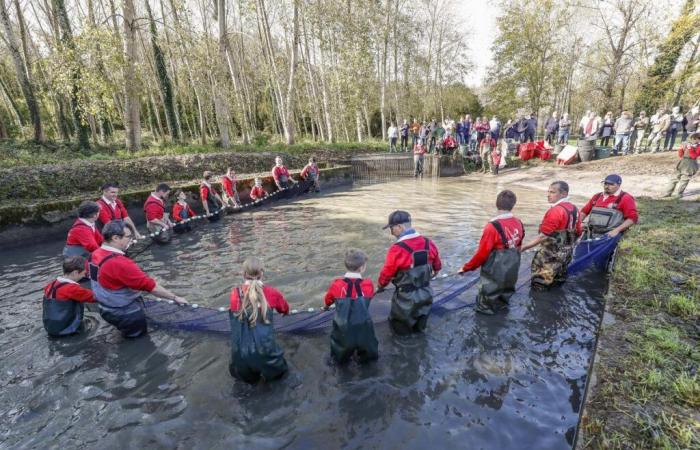 en Saint-Maigrin, un estanque vacío y pescado muy fresco para pescar