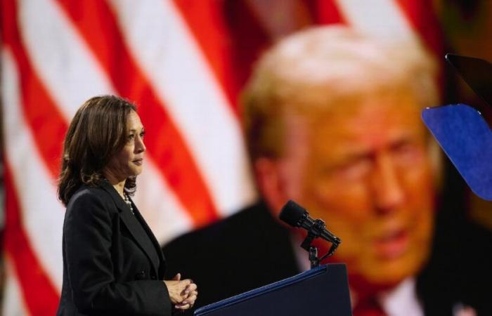 Kamala Harris o Donald Trump, el peso del voto de los expatriados – L’Express