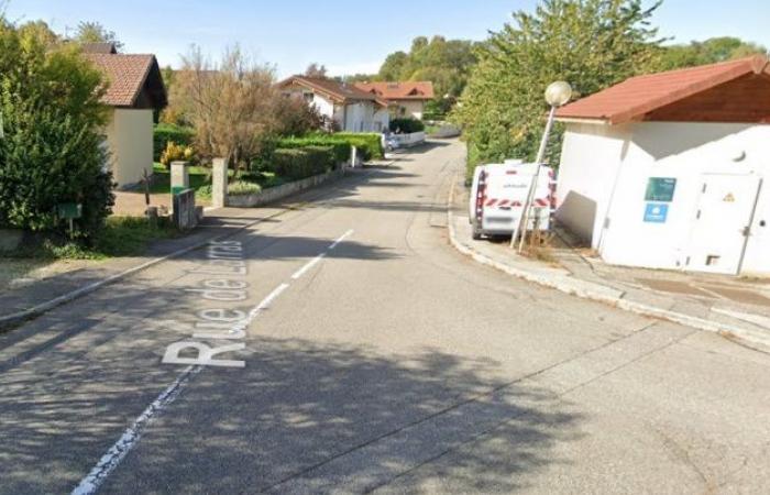 Petición para la seguridad del tráfico peatonal en la Rue de Larras y en el paso de peatones y automóviles de la Avenue du Jura (D903)