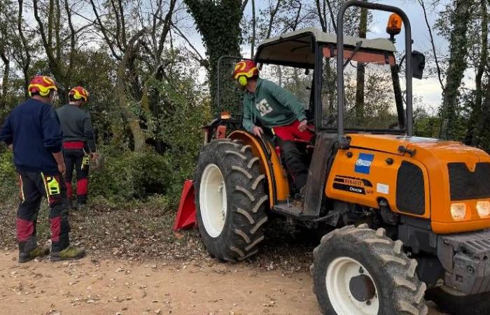 Agglo Hérault Méditerranée – Prevención de inundaciones: más de 10 toneladas de ramas retiradas de los arroyos