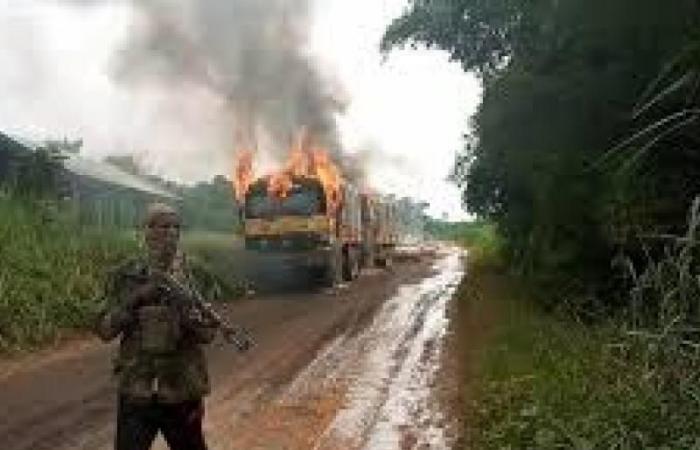 Irumu: 118 rehenes escapan de las ADF durante una operación conjunta FARDC-UPDF