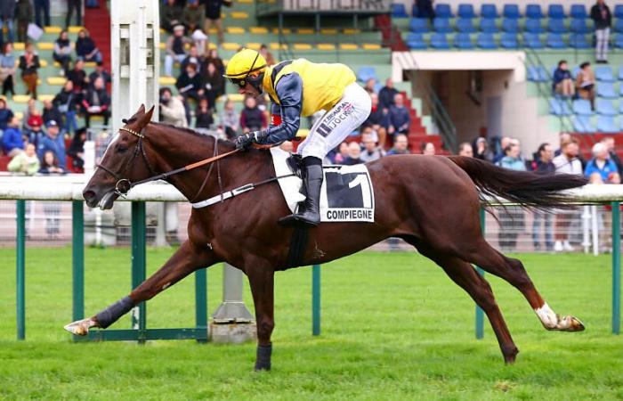 Compiègne (L): Zéphyr de Beaumont mantiene su cotización