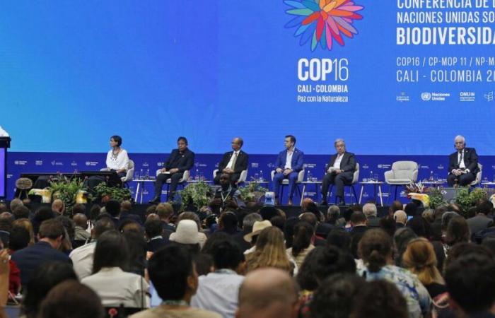 COP16 biodiversidad termina en Cali, fracaso de negociaciones sobre financiamiento – rts.ch