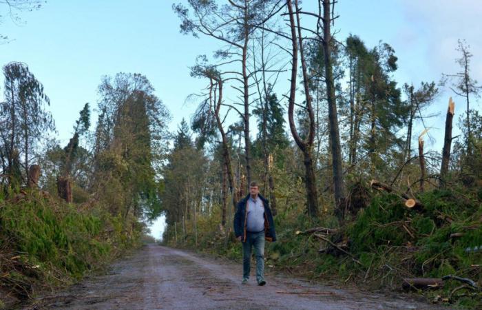 Hace un año, el Canal sufrió la ira de una “bomba meteorológica”