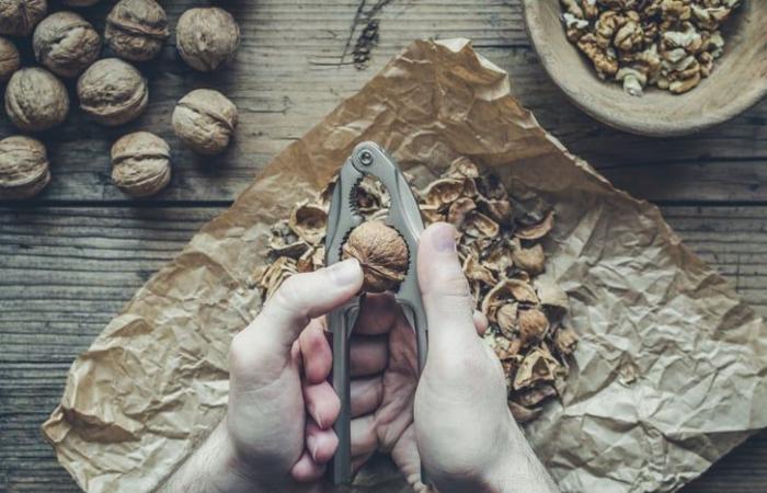 Comer esta fruta todos los días sería beneficioso para nuestro cerebro, según un estudio