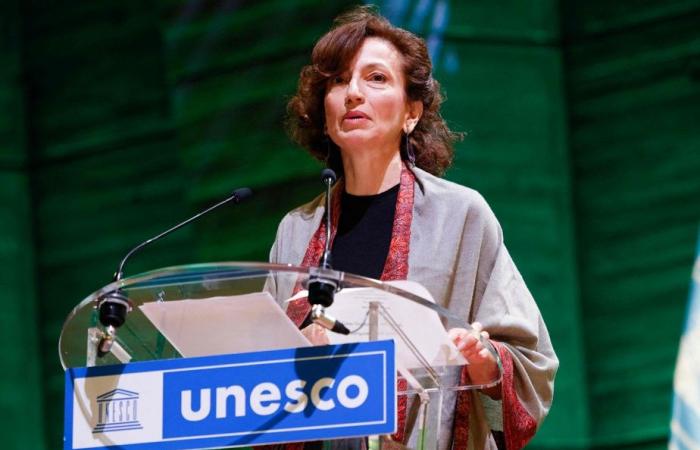 UNESCO | Los asesinatos de periodistas quedan en su mayoría impunes